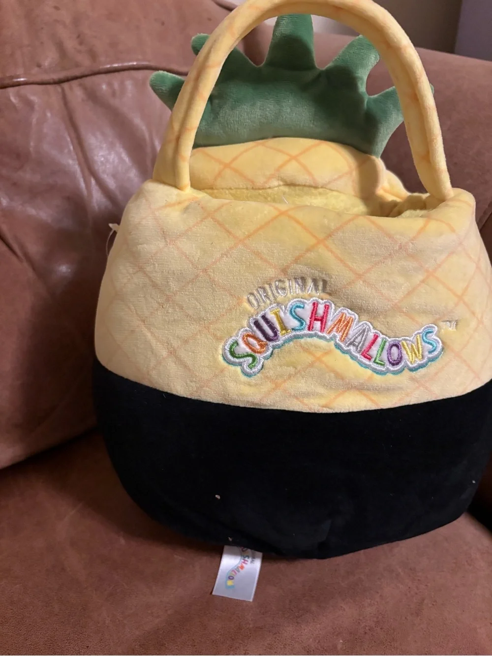 Squishmallow Maui the pineapple skeleton Halloween treat pail